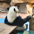 秦天演绎 头像