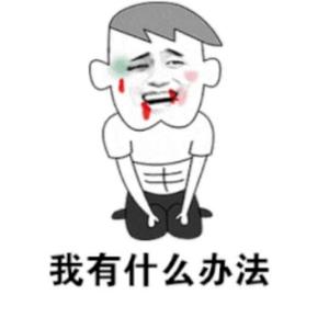 朱二zb头像