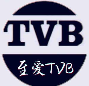 TVB头号粉丝头像