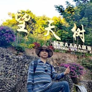 游荡骆驼头像