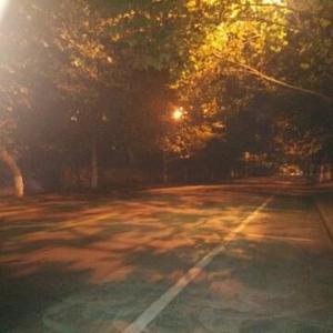 尘土飞扬头像