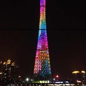 南风鱼头像