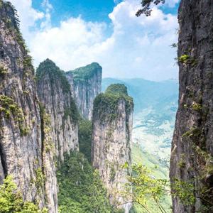 地球村一分子头像