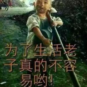 初见如初恋头像