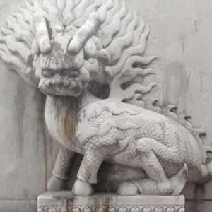 滩石318头像