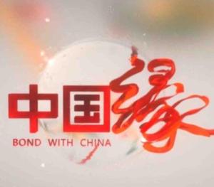 CCTV中国缘头像