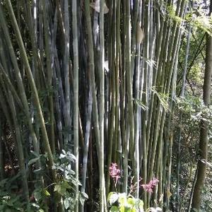 共赢888头像