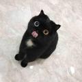 林三岁yami 头像