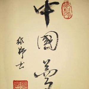 南漂张野头像