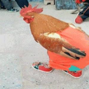 苏州堡主头像