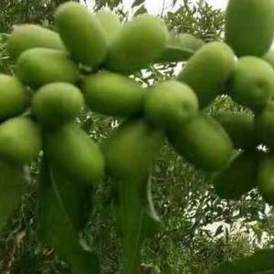 美丽的天空2547头像