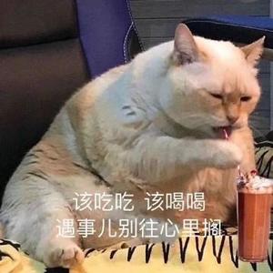 果是花果山的果头像