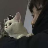 hasakiiii头像