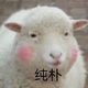 首席评头像