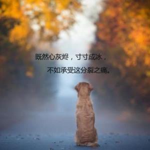 扯淡的人生头像