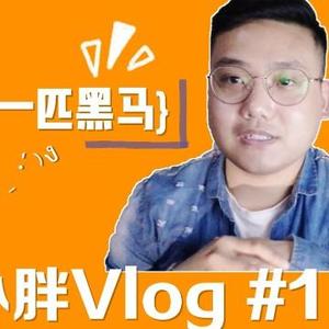 杨小胖的Vlog头像