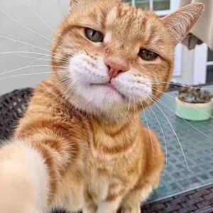 AJ看视频头像