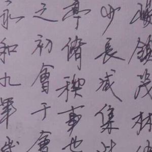 番茄71395578062头像