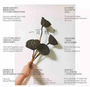 漫步花坛中头像