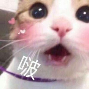番茄85987623023头像