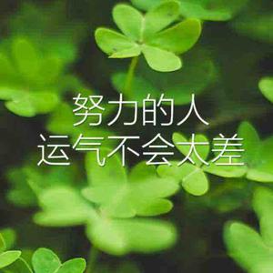 忆往昔97924026头像