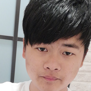 瓦叫辉仔头像