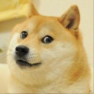 老吴杂书头像