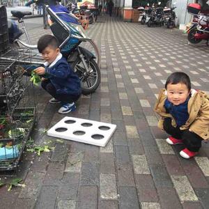 扬州瓦尔特头像