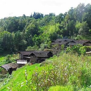 农村头像朴素,农村头像