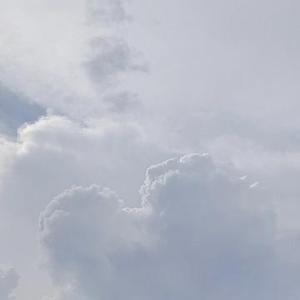 我叫叫不醒头像