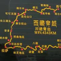 自由飞翔18666头像