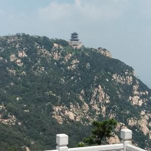 仙桃仙桃头像