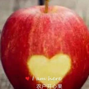 农户开心果头像