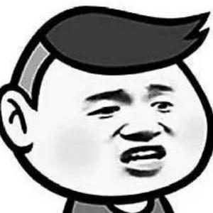 累宝250头像