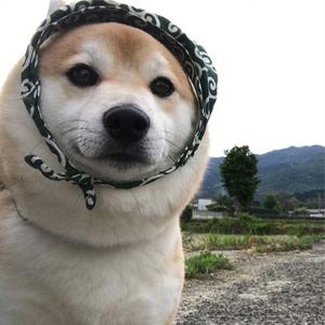 做装修的农民工头像