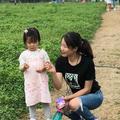 holly好物分享头像