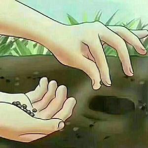 艺天动物诊疗中心·斯宝乐思头像