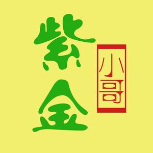 紫金小哥头像