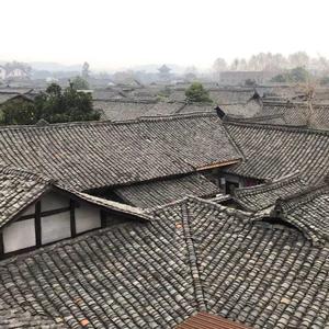 名星聚媒体头像