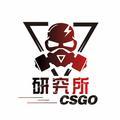 CSGO研究所头像