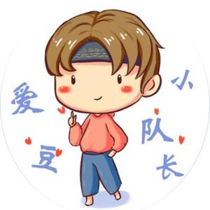 爱豆小队长