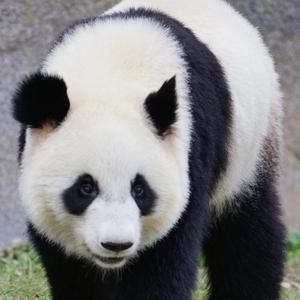 江苏高凯简介:江苏省沭阳县34关注350粉丝5533获赞ta还没有发布过任何