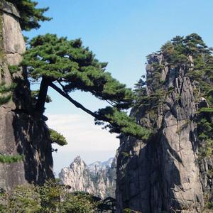 每天学点维修技巧头像