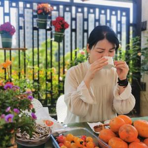 海英聊普陀头像