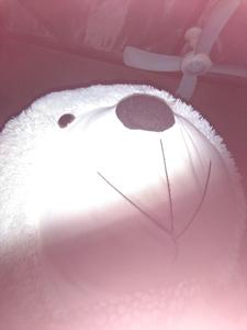杰哥无法无天头像