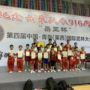 文登雁鸣搏击散打队头像