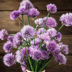 一只狗尾花也想绽放春头像