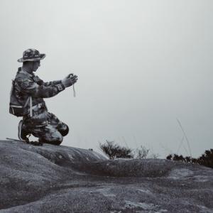 驴影树叶头像