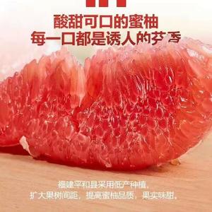 山中果农头像
