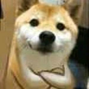 为什么会有试卷头像